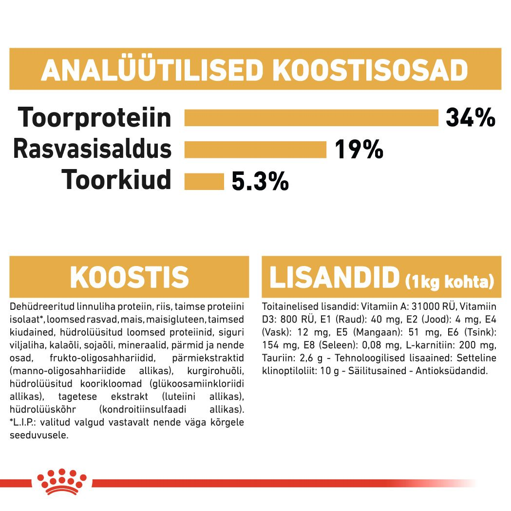 Royal Canin British Shorthair Adult kuivtoit