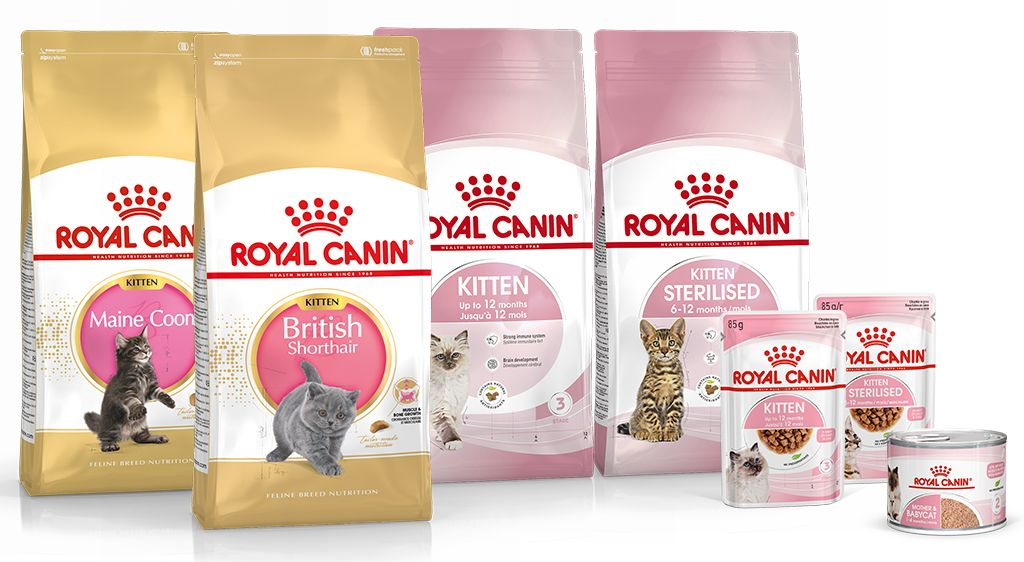 Pack shot of kitten products