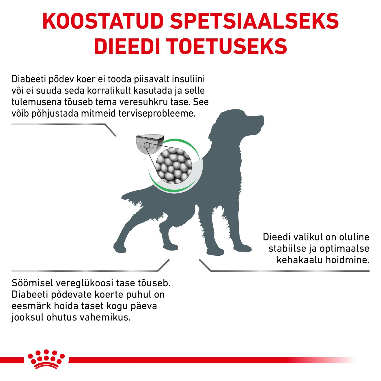 Royal Canin Diabetic Dog kuivtoit