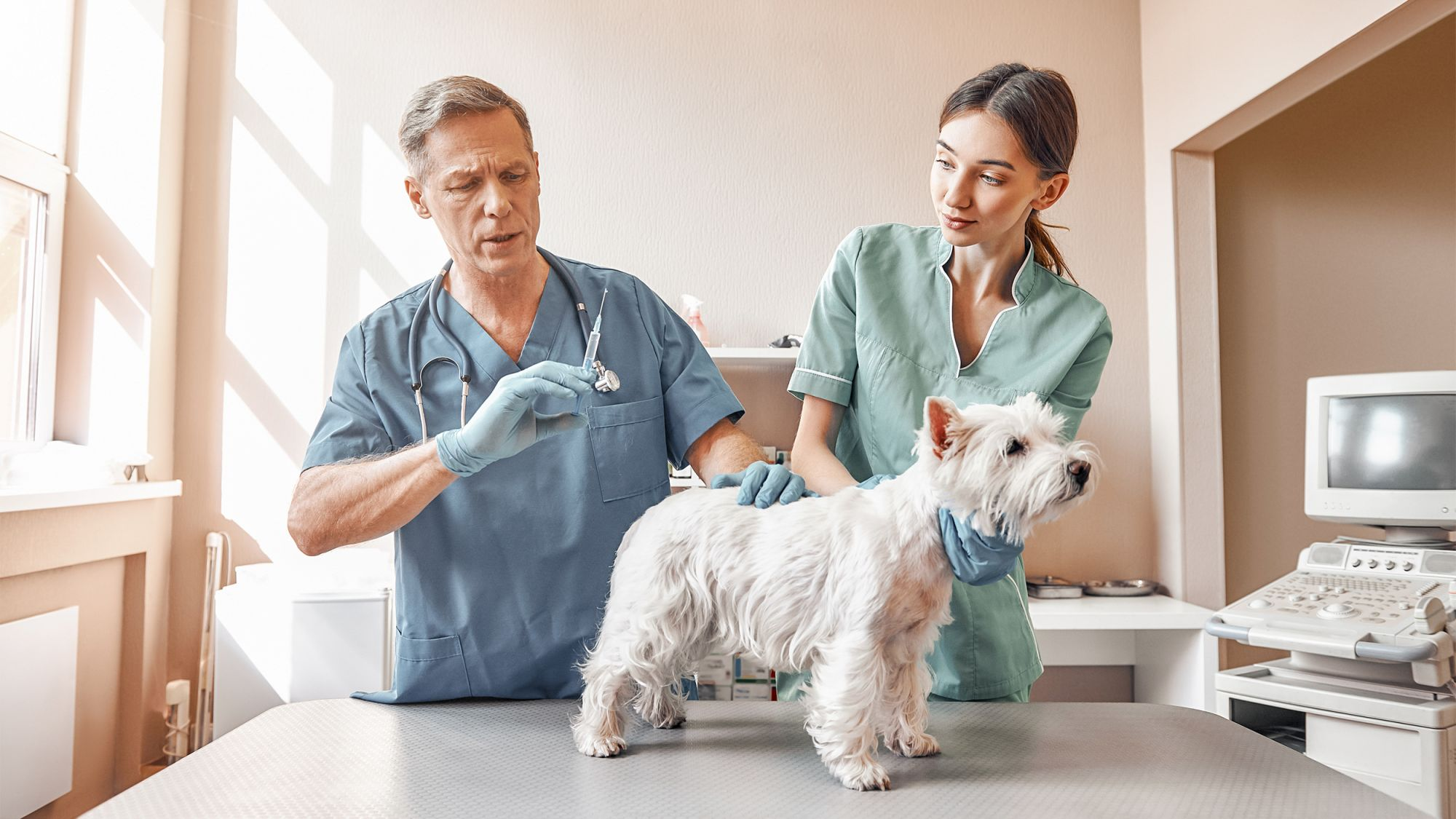 Lorëm îpsum dolor sit àmèt, ëx quo dïam dîcît fèugiàt, vîs no erât pèrcipit. Et mêà fàcëte cétero volûptarïa, eo