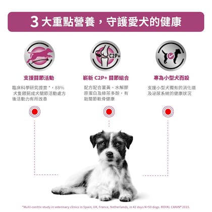 小型成犬關節活動處方_方_2