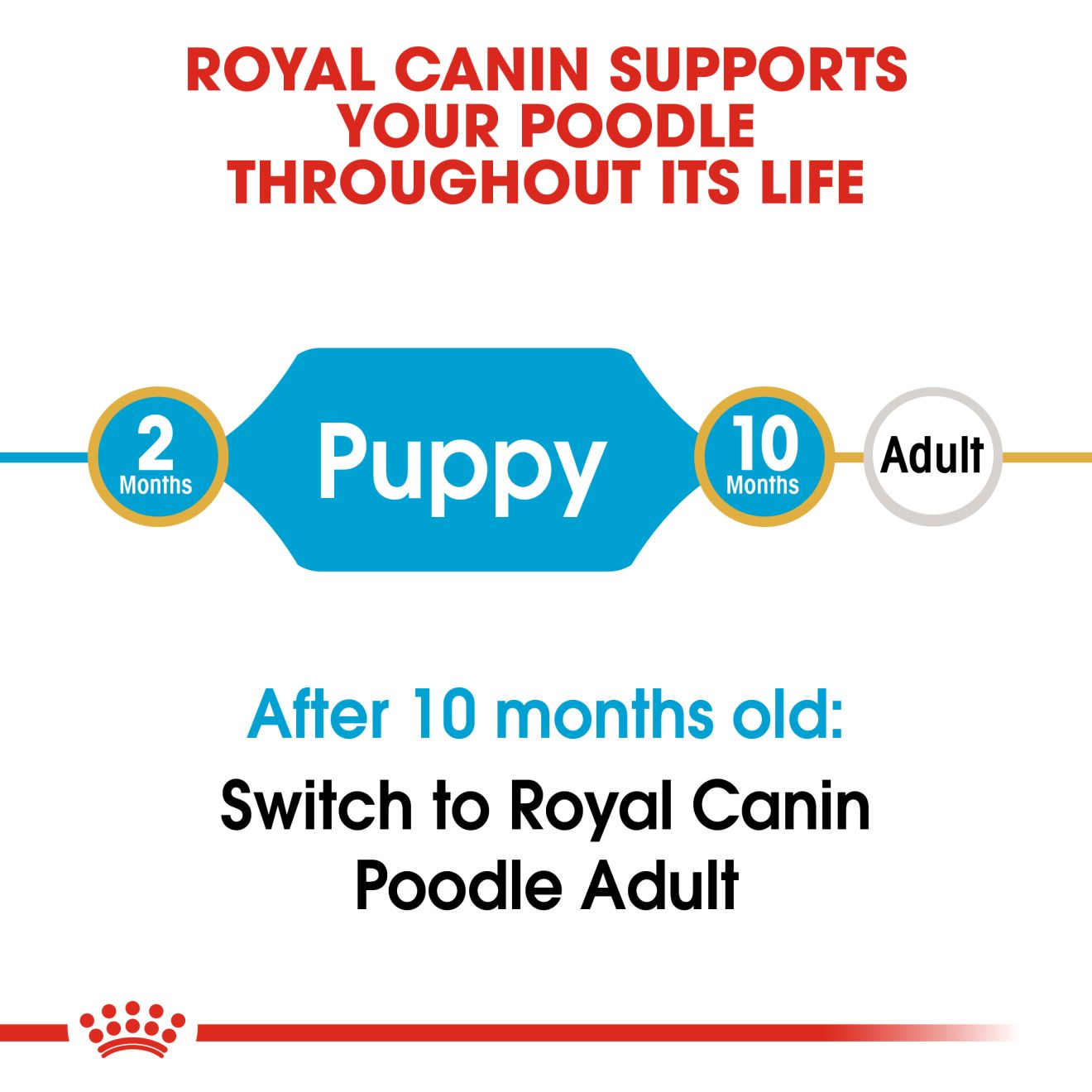 Royal canin poodle puppy food hotsell