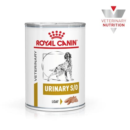 VHN-BrandFlagship-Hero-Images-Urinary SO Loaf400g DogWet-B1