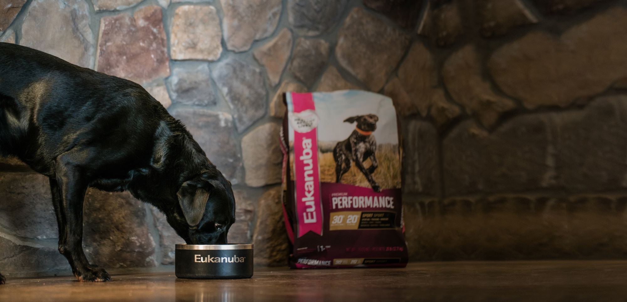 eukanuba performance dog food