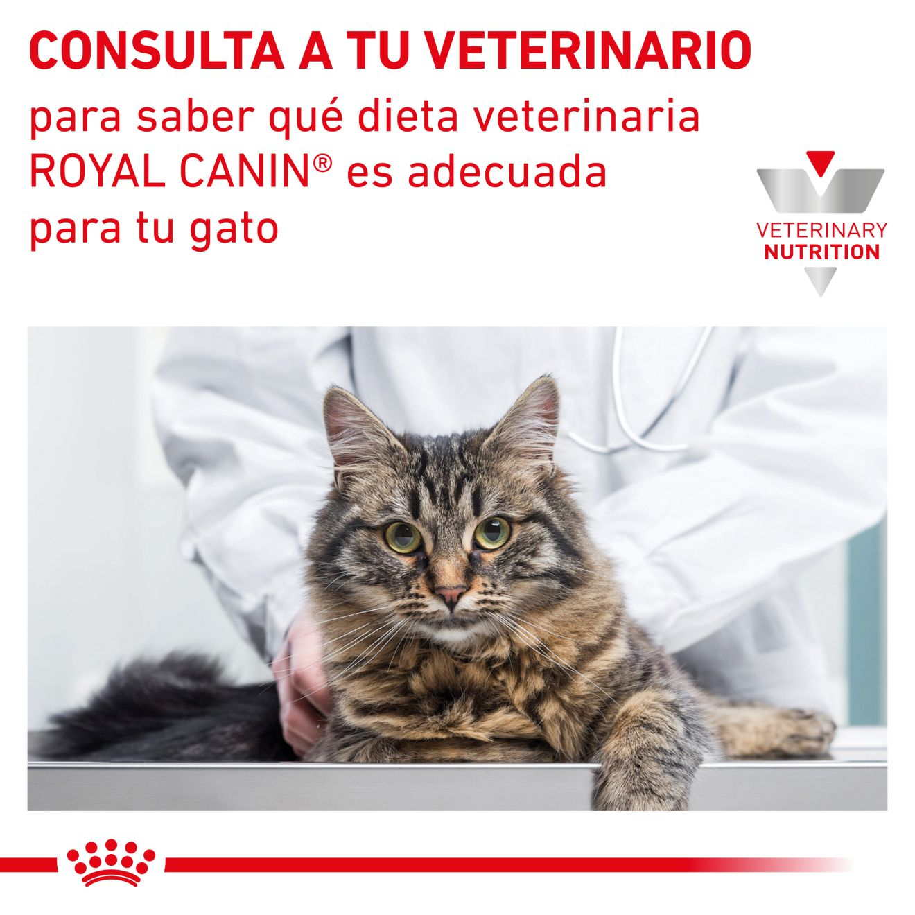 Renal Special