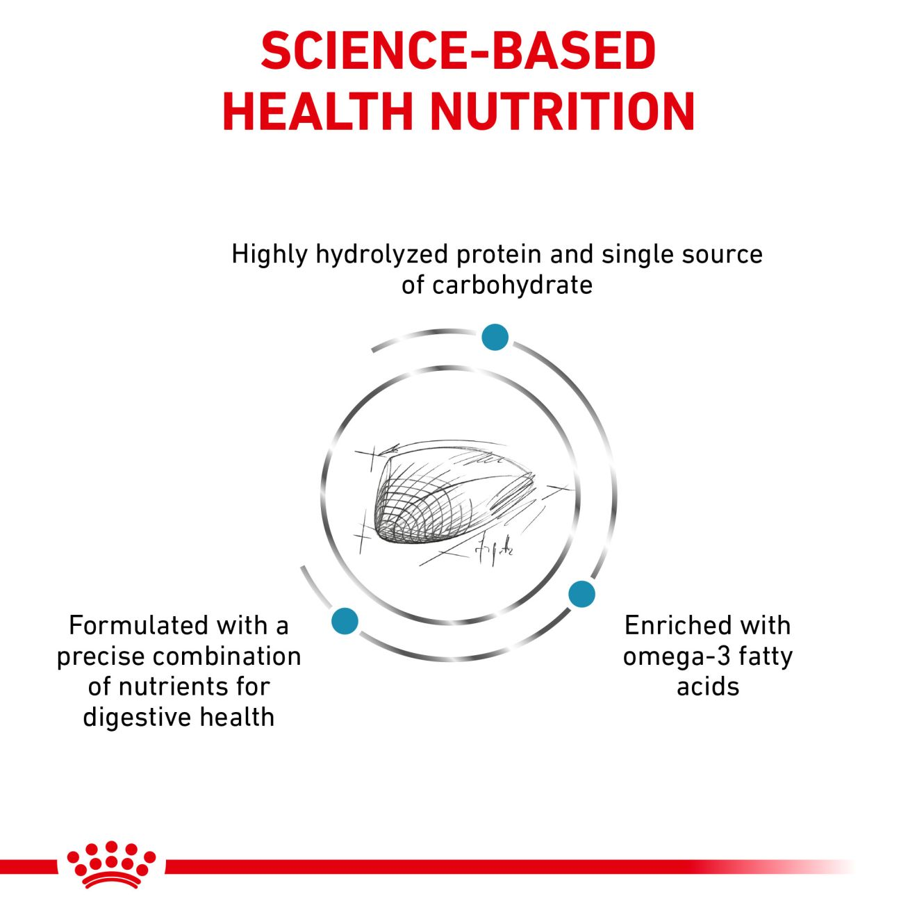 Hydrolyzed protein hotsell food for cats