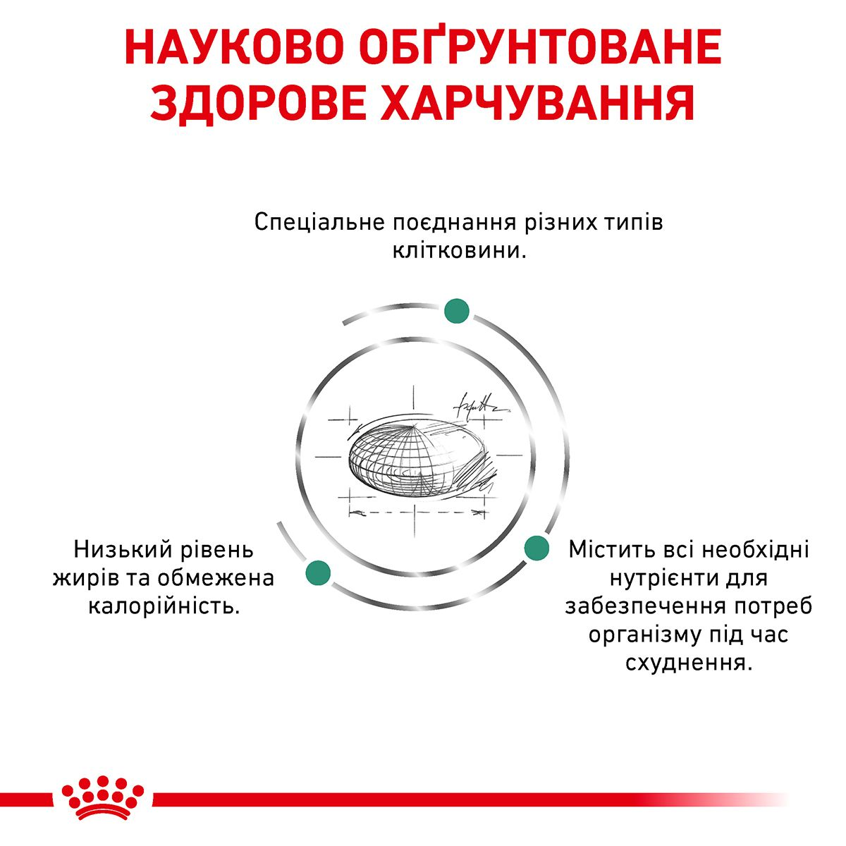 Satiety Weight Management