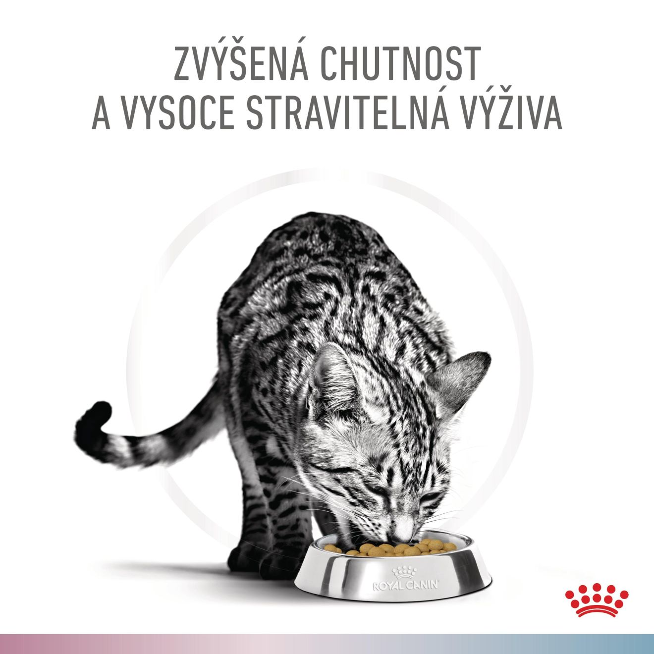 VHN Cat CA Renal-Hypoallergenic