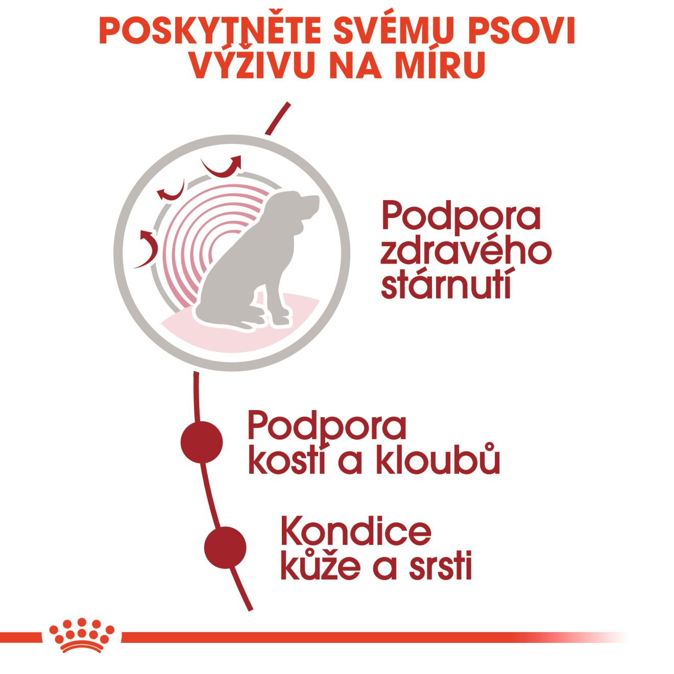 ROYAL CANIN Medium Ageing kapsička ve šťávě pro starší psy středních plemen