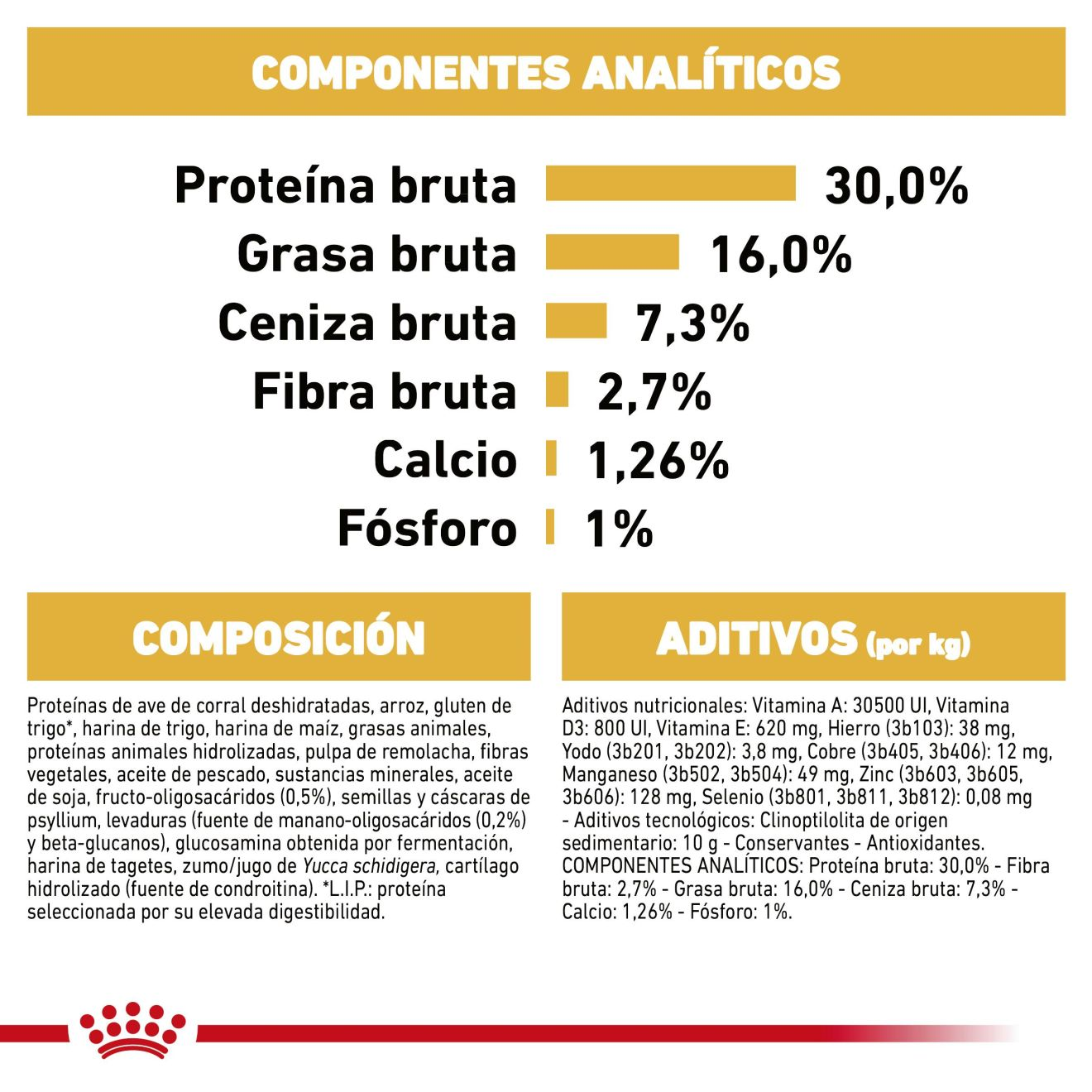 German Shepherd Puppy