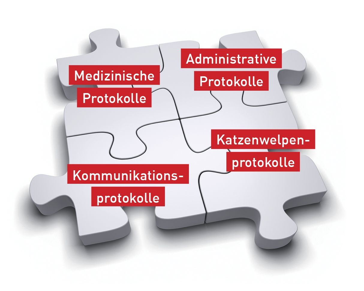Protokolle in der tierärztlichen Praxis sind wie ein Puzzle