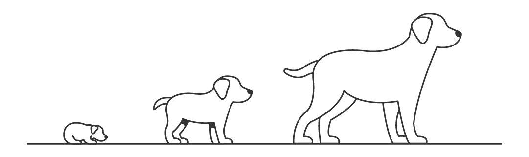 Illustration of the different lifestyles of a dog