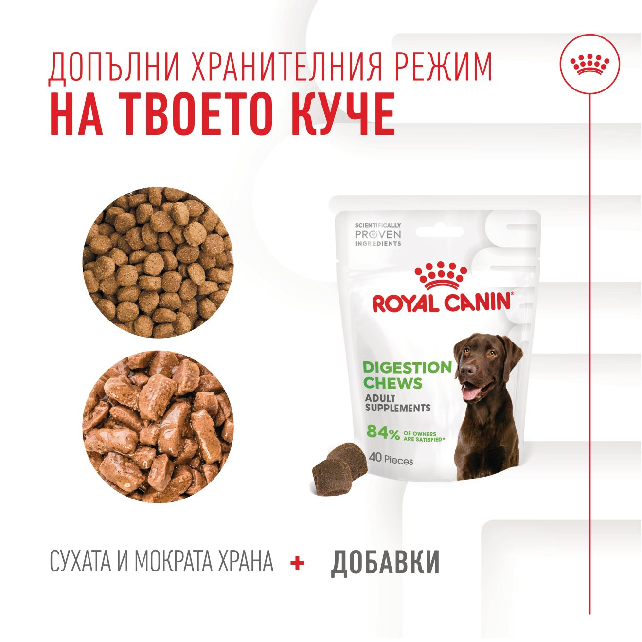 DIGESTION CHEWS