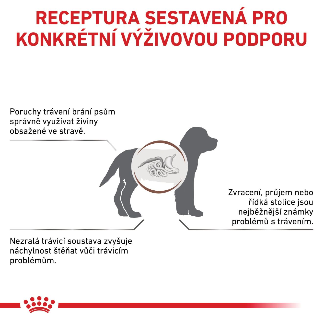 ROYAL CANIN Dog Gastrointestinal Puppy granule pro štěňata s onemocněním trávicího traktu