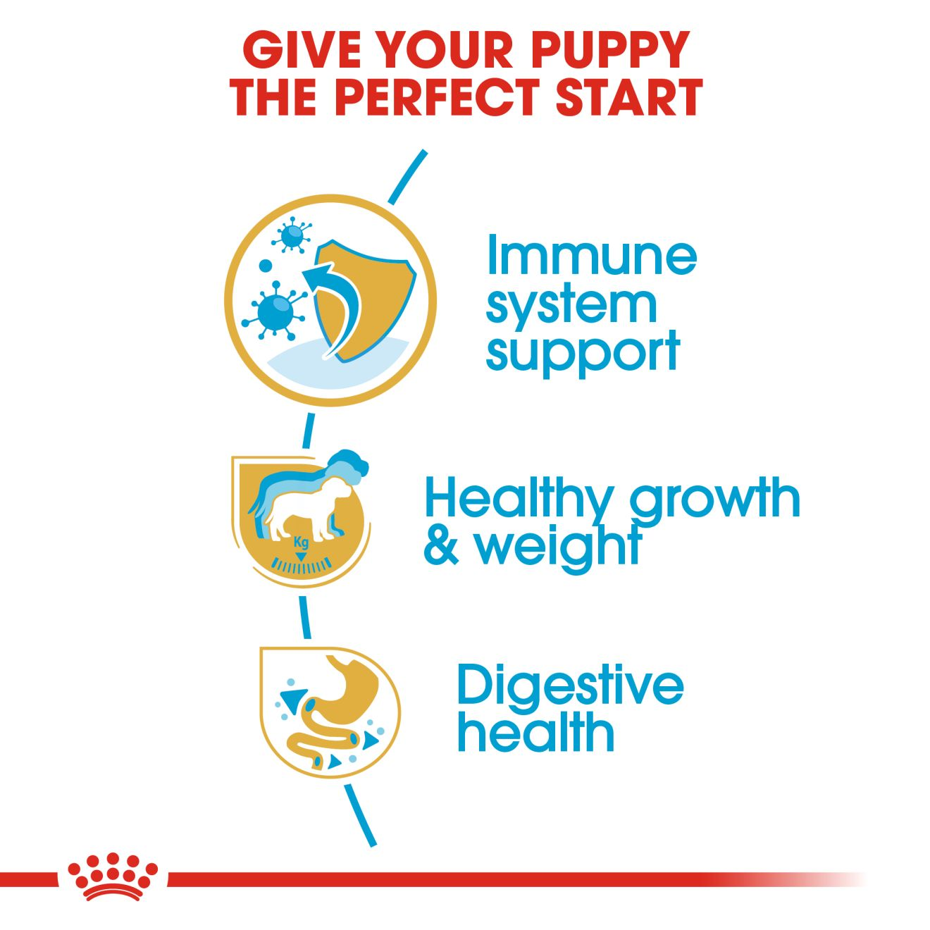 Royal canin labrador retriever puppy outlet food