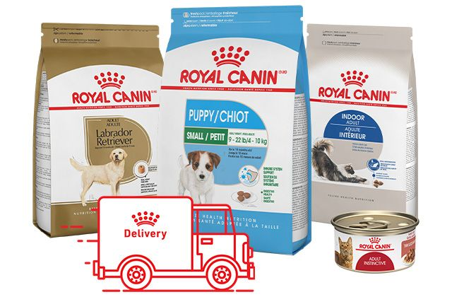 Doorlaatbaarheid neus buitenaards wezen Tailored Health Nutrition For Cats & Dogs | Royal Canin US