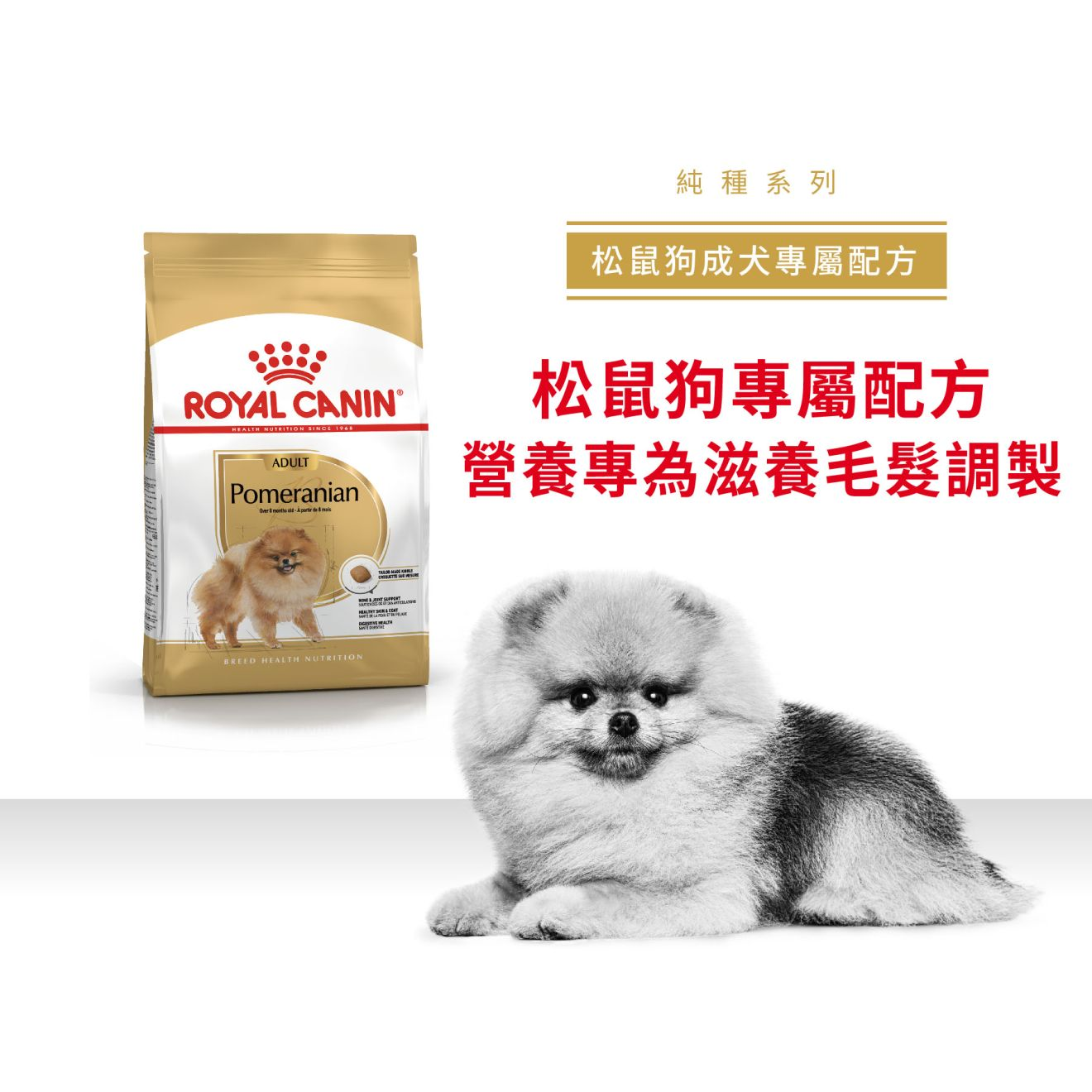 BHN 松鼠狗成犬專屬配方