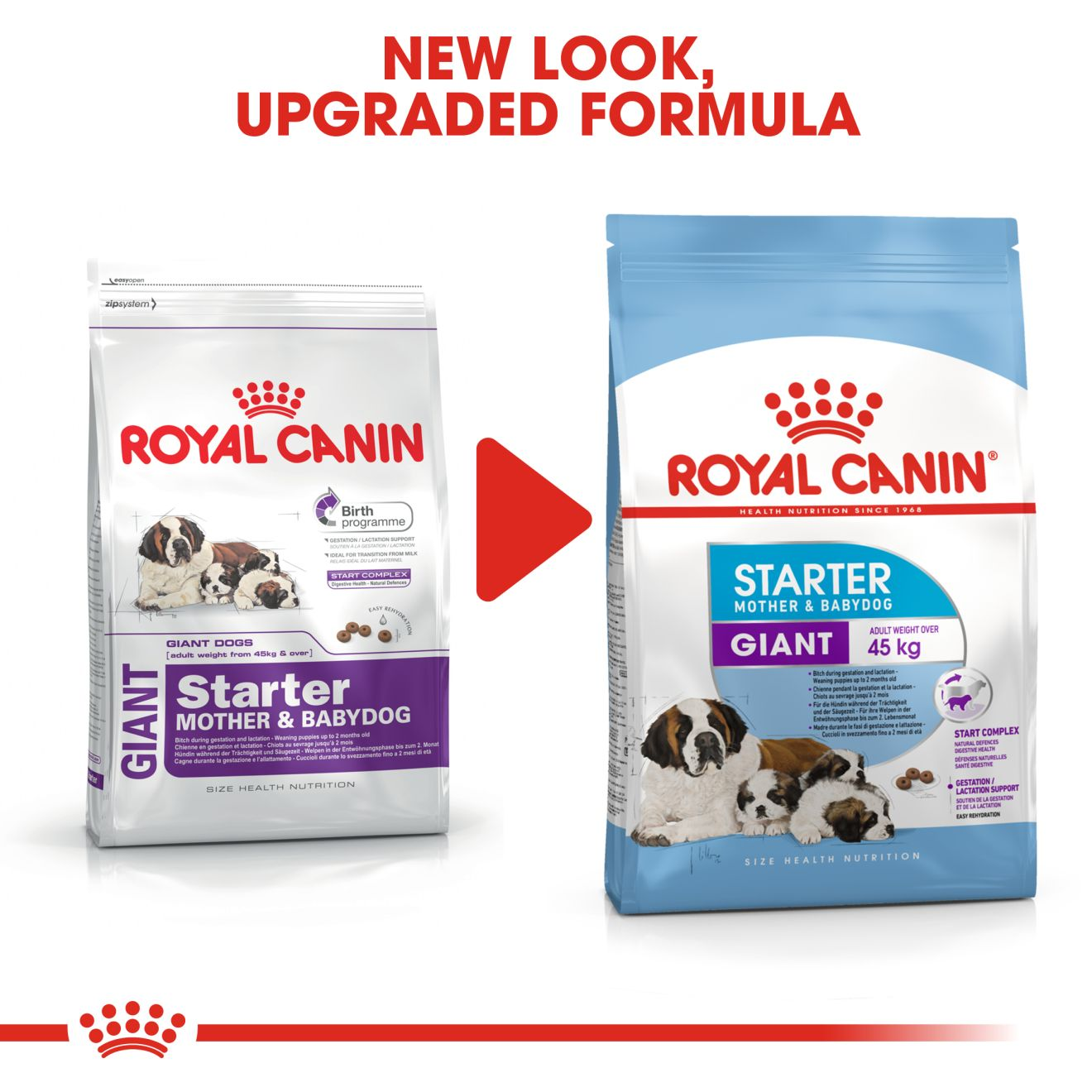 Royal canin giant starter store mother and baby dog