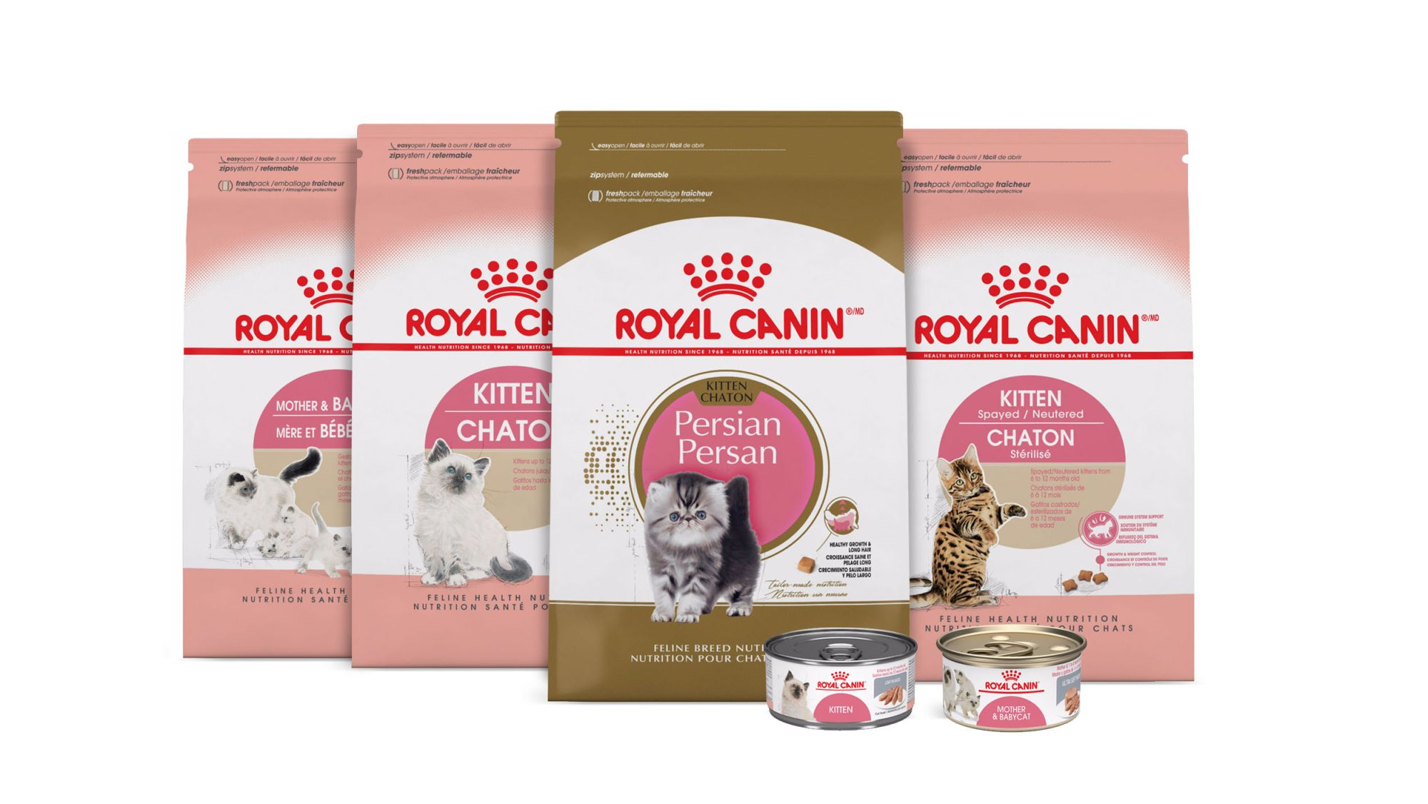 Kitten range of cat food