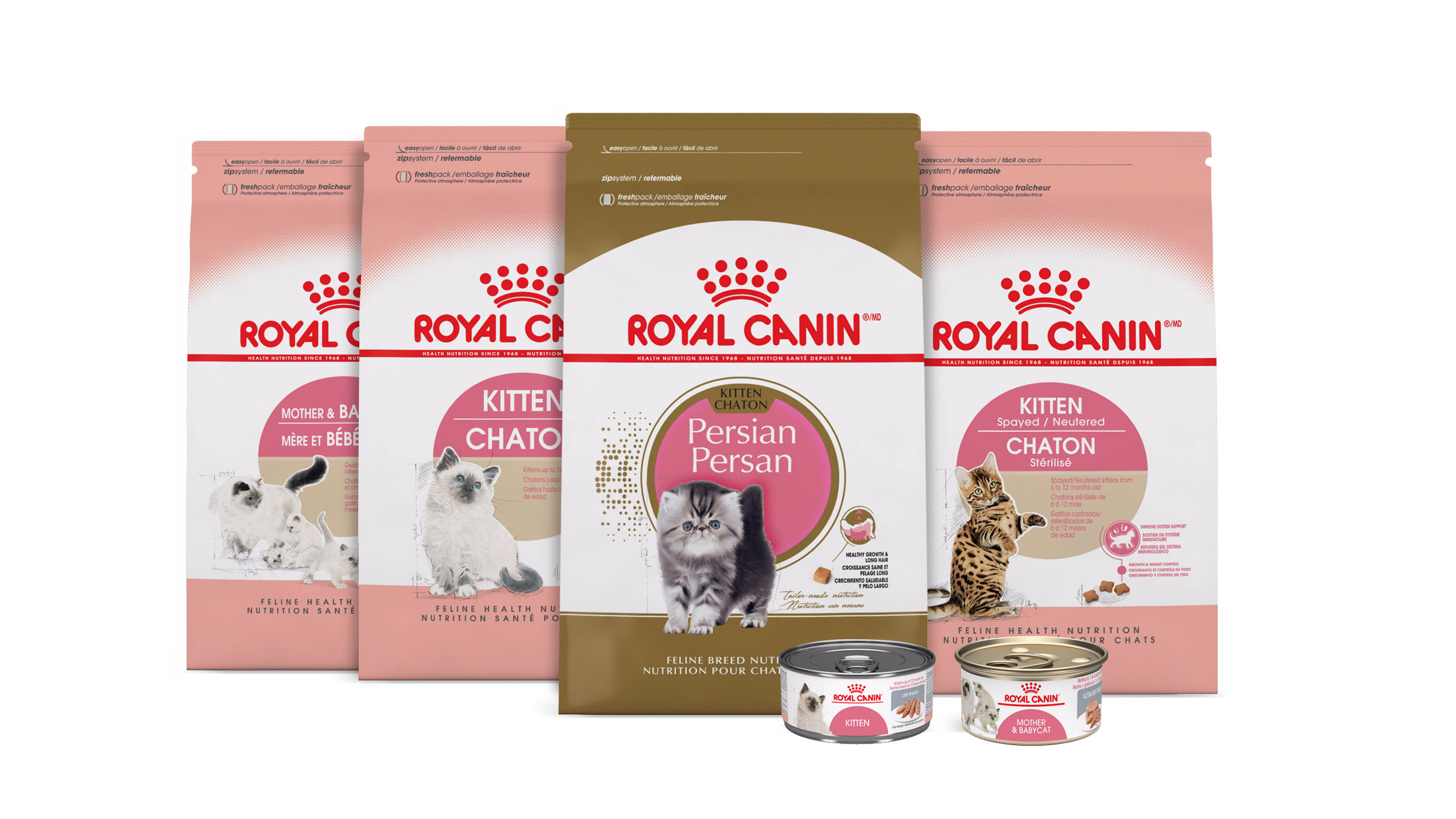 Kitten Food Nutrition What To Feed Kittens Royal Canin