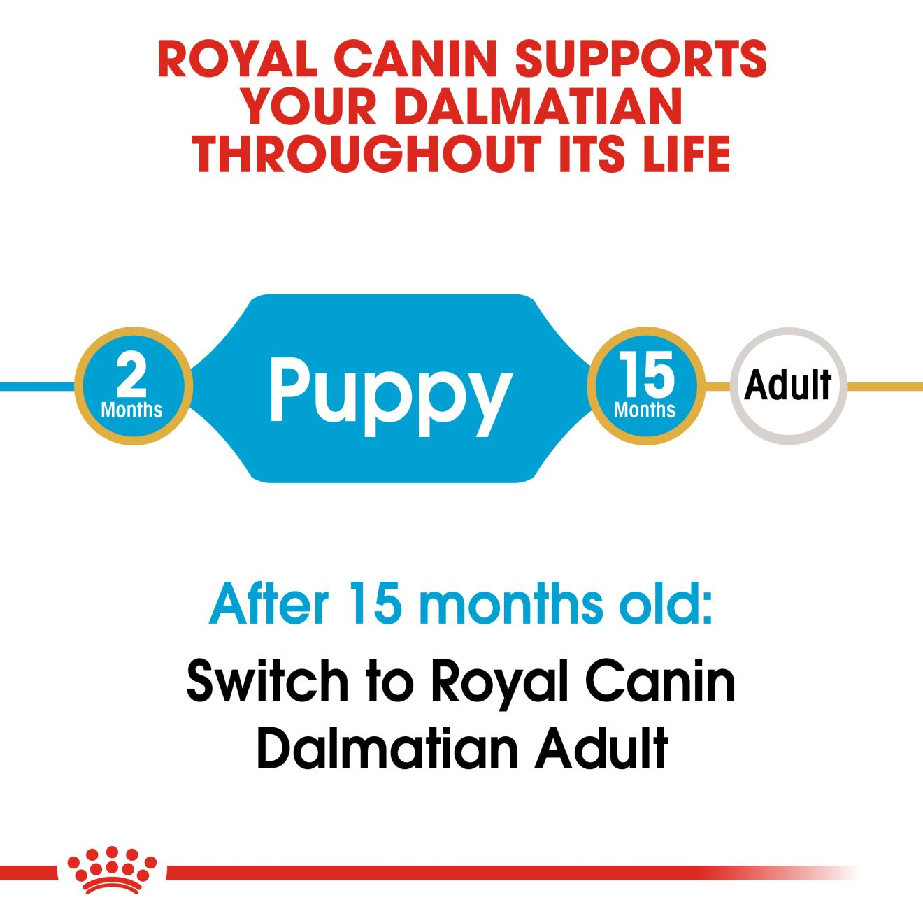 Royal canin shop puppy dalmatian