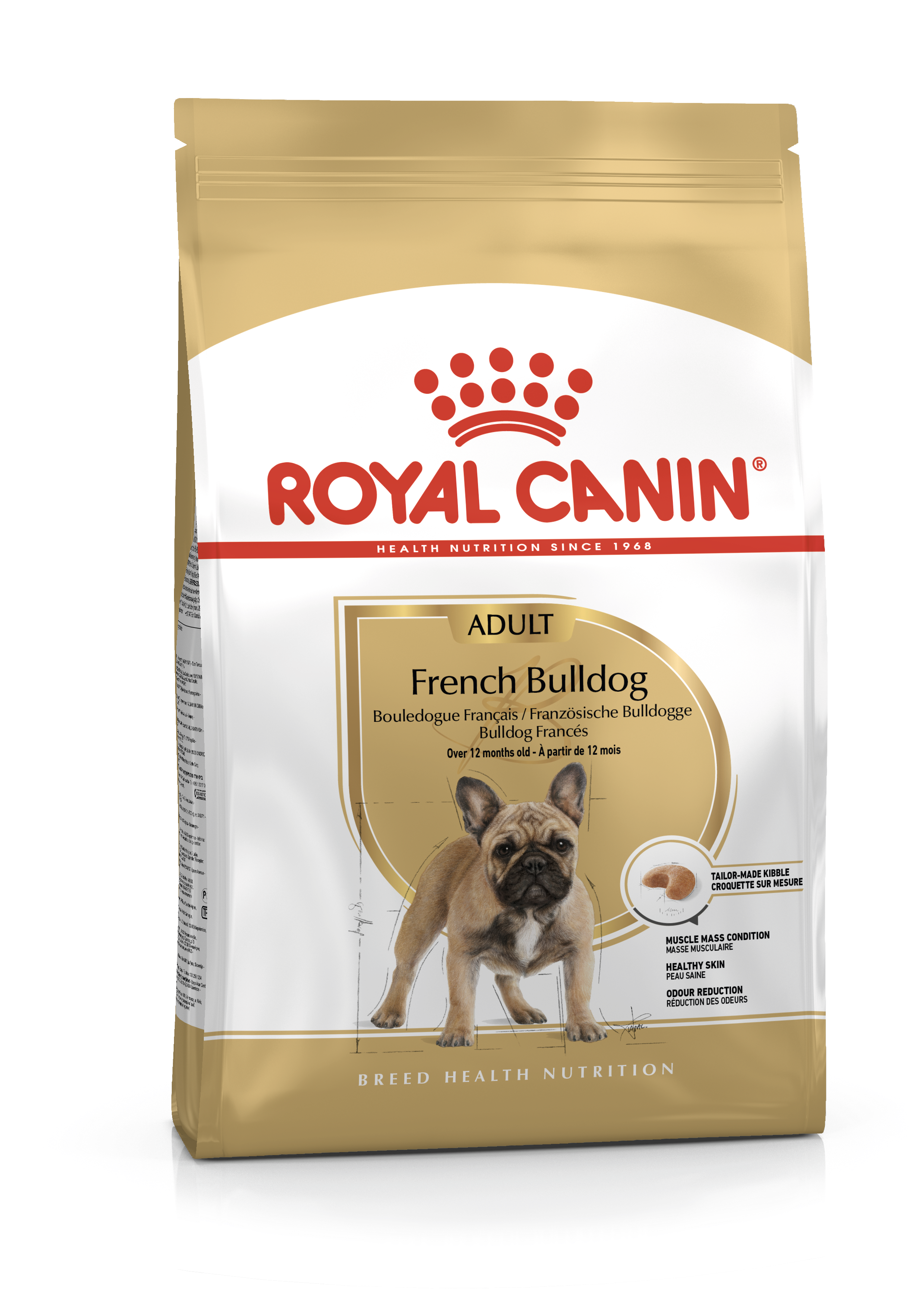 what is the healthiest dog food to buy