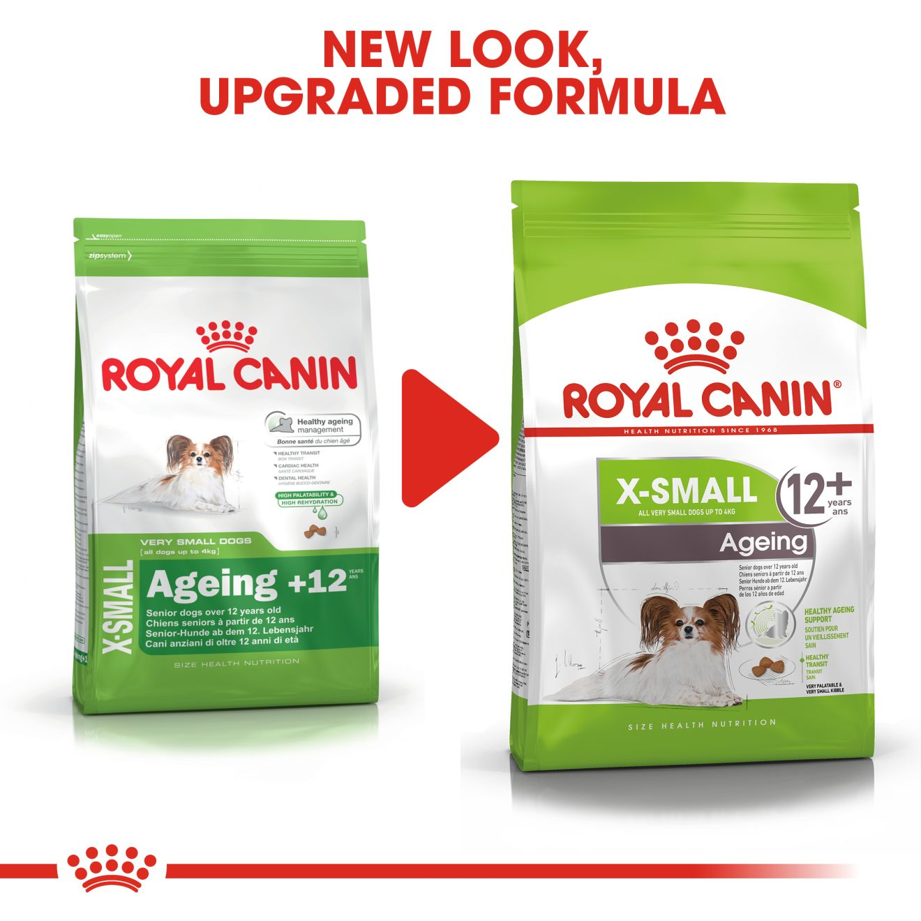 X-Small Ageing 12+