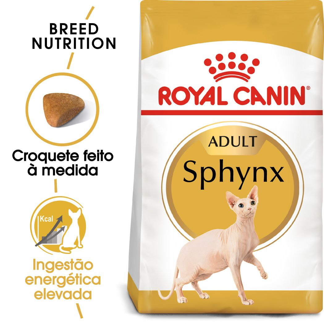 Sphynx Adult
