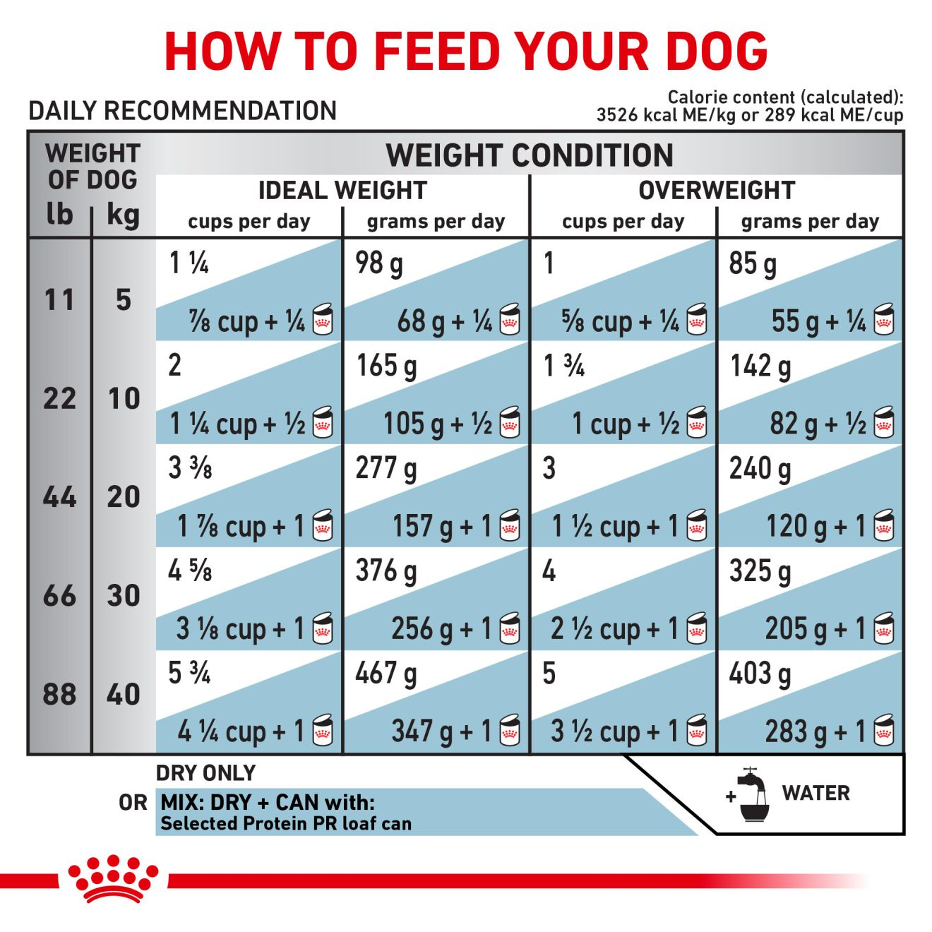 Royal canin selected discount protein dog food