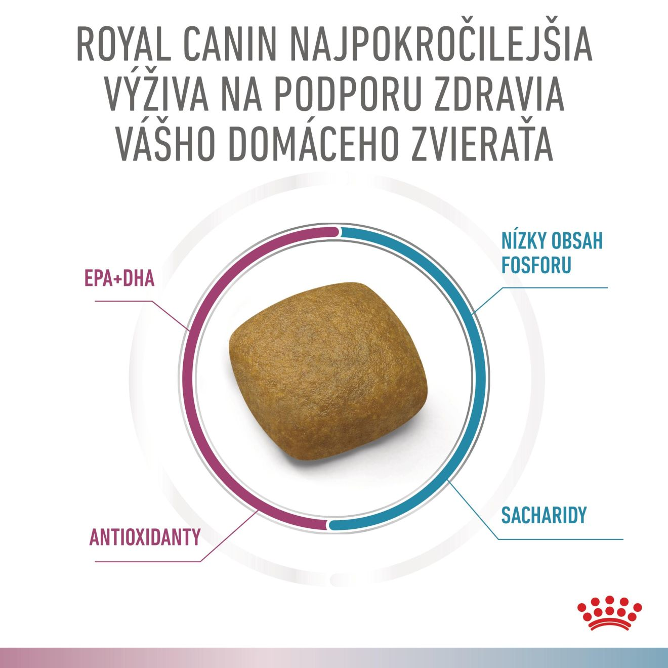 VHN Cat CA Renal-Hypoallergenic