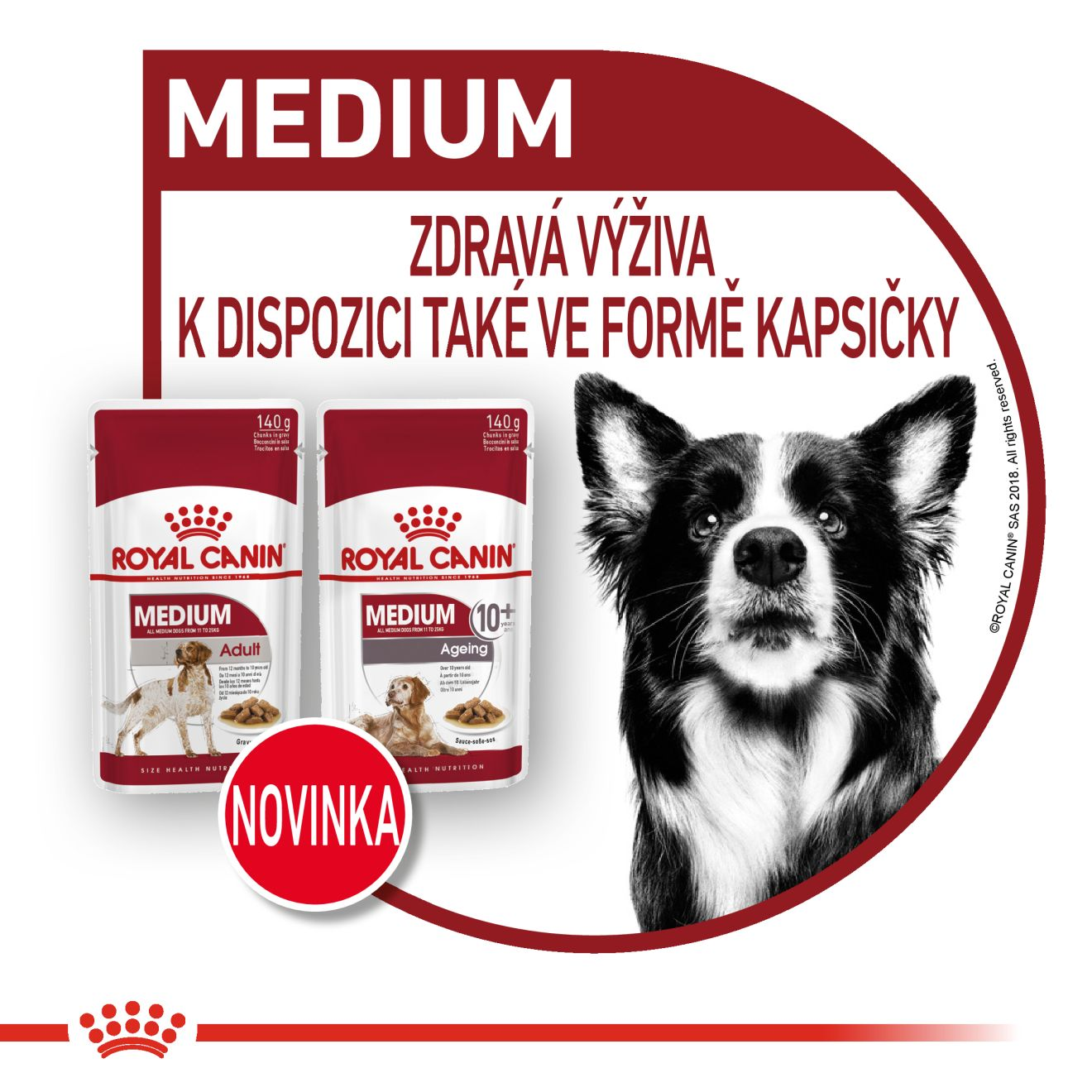 ROYAL CANIN Medium Ageing kapsička ve šťávě pro starší psy středních plemen