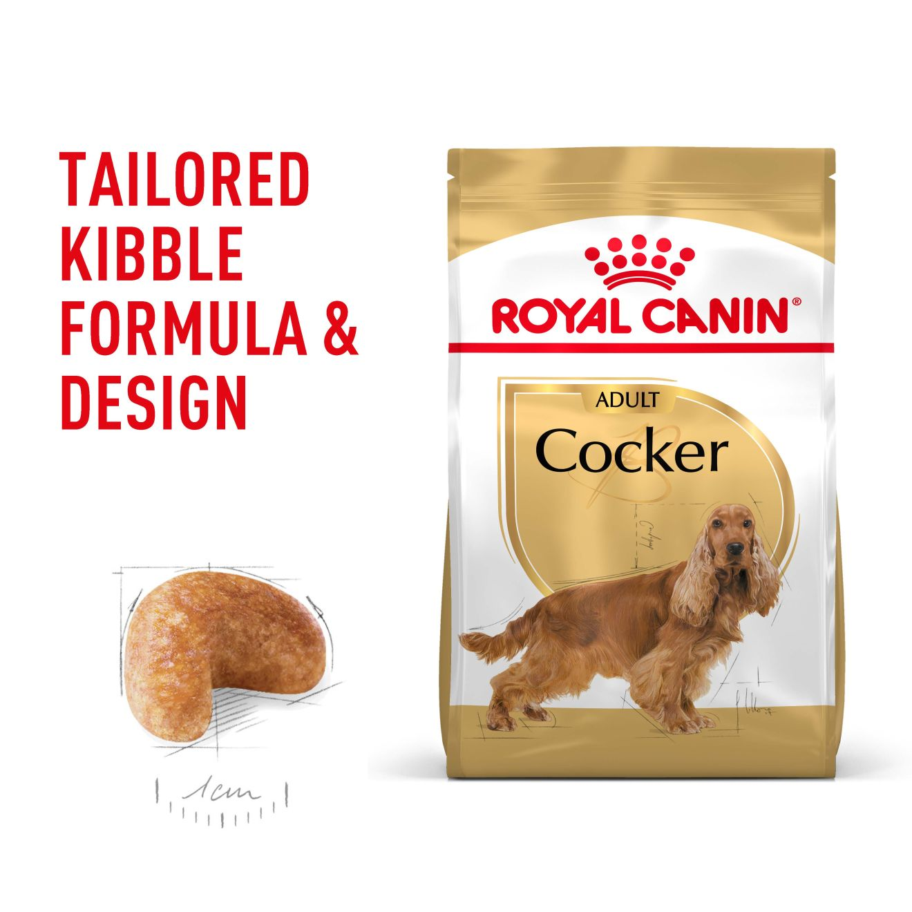 Cocker Spaniel Adult