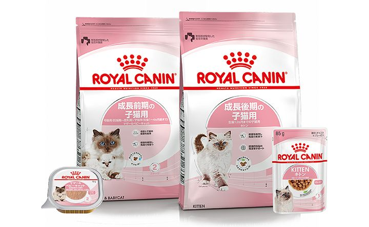 子猫の成長に合った食事できめ細かな栄養ケア | Royal Canin JP