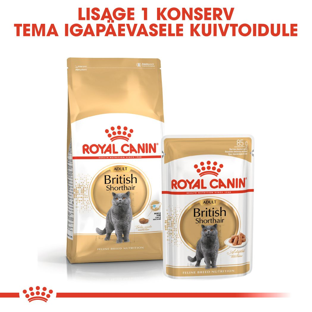 Royal Canin British Shorthair Adult kuivtoit