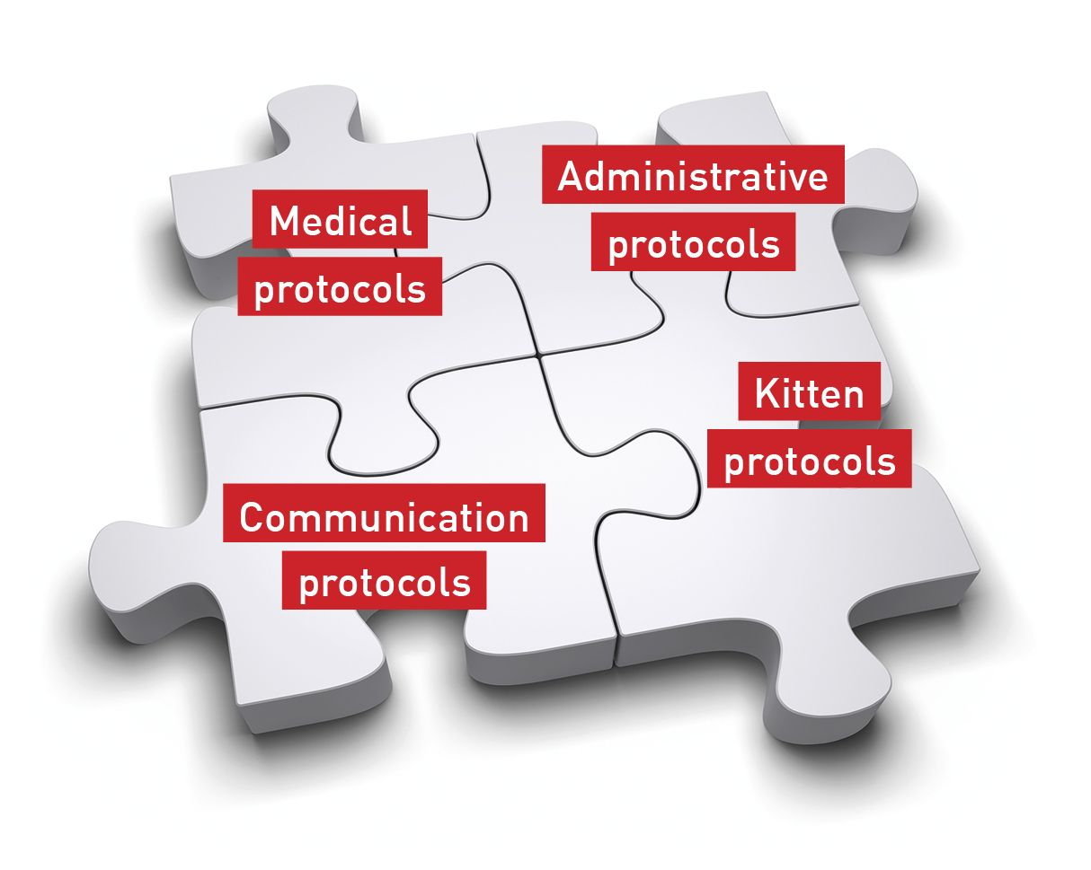 Protocols in veterinary practice are like a puzzle