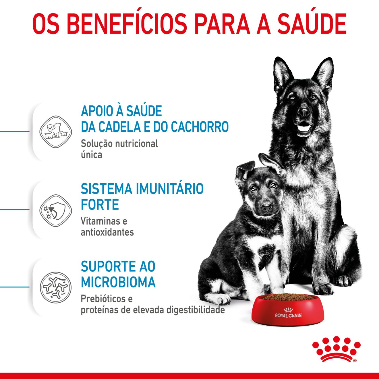 STARTER Mother & Babydog - MAXI