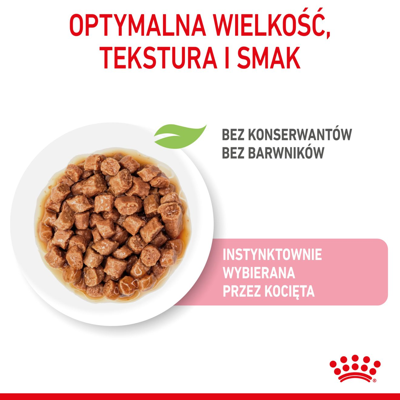 ROYAL CANIN Kitten Sterilised karma mokra w sosie dla kociąt do 12 miesiąca życia, sterylizowanych