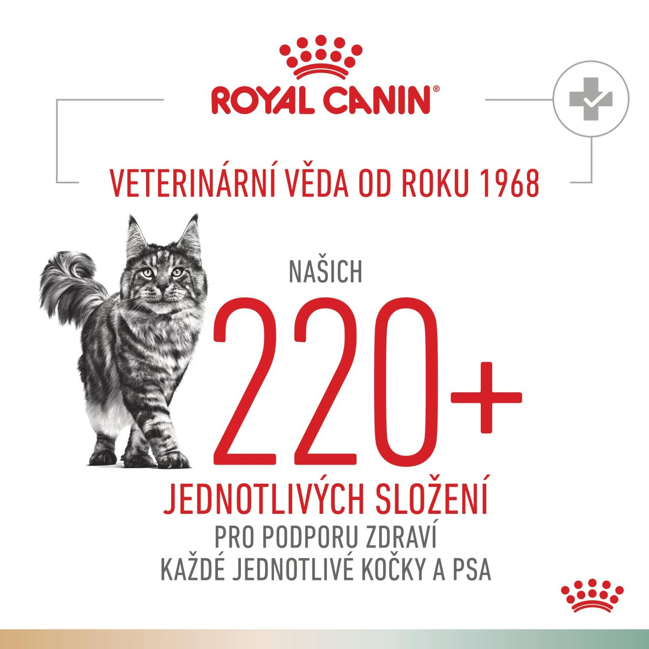 VHN Cat CA Urinary S/O-Satiety