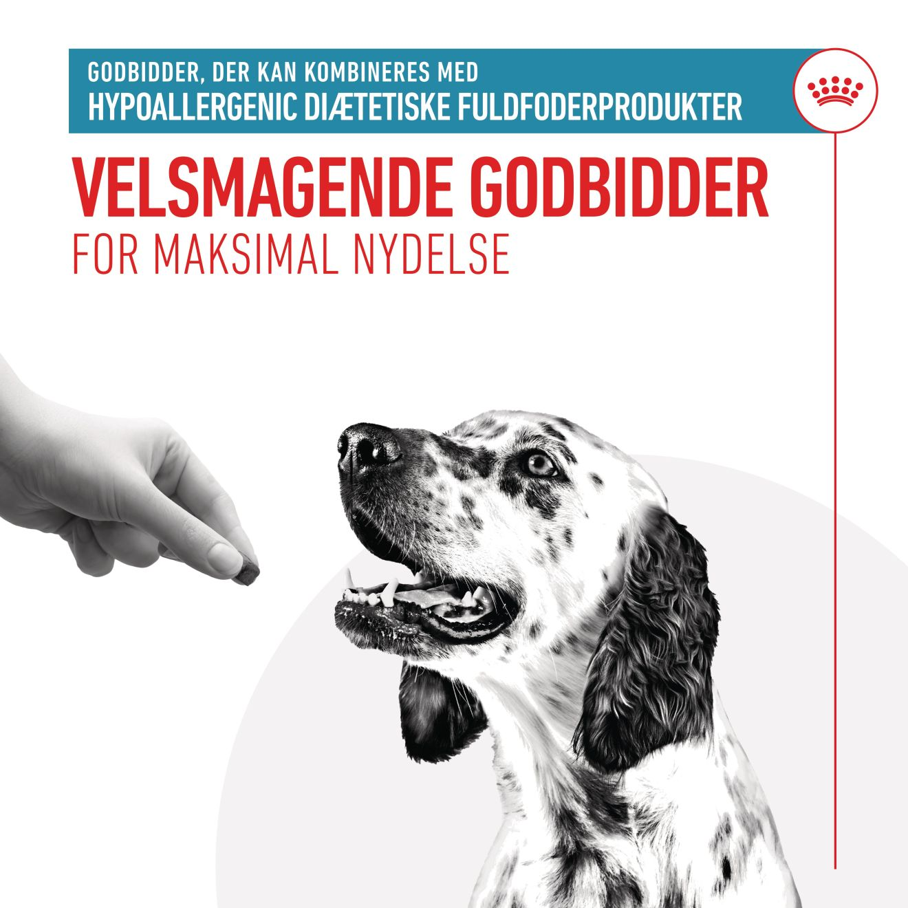 Hypoallergenic Treats