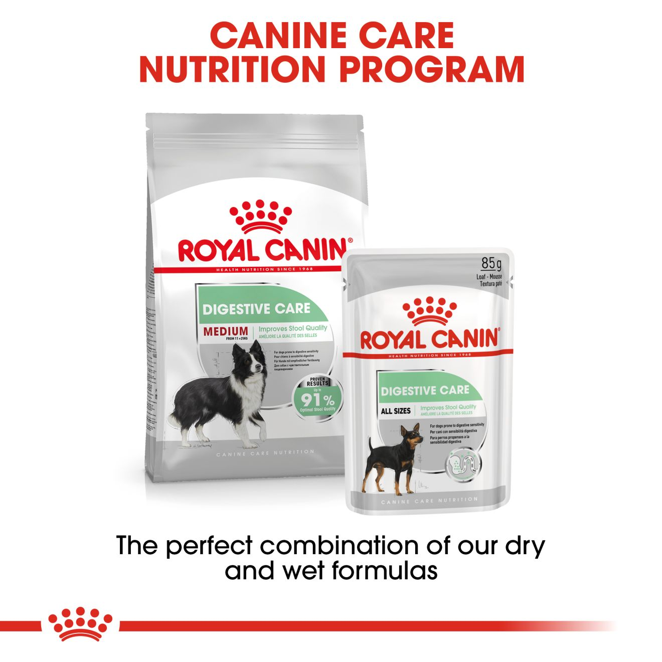 Royal canin medium shop digestive care 15 kg