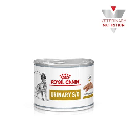 Royal canin urinary so hot sale wet