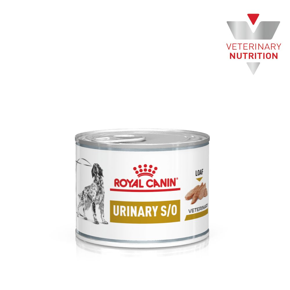 Urinary S/O | Royal Canin Singapore