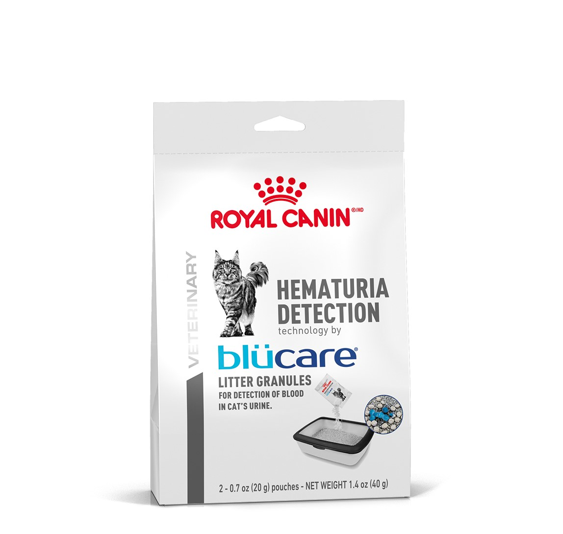 hematuria-detection-packshot-editable-version-83615