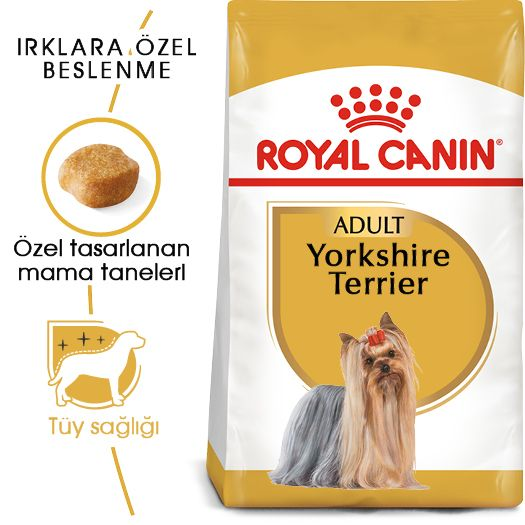 Yorkshire Terrier Adult Yetişkin Köpek Kuru Maması