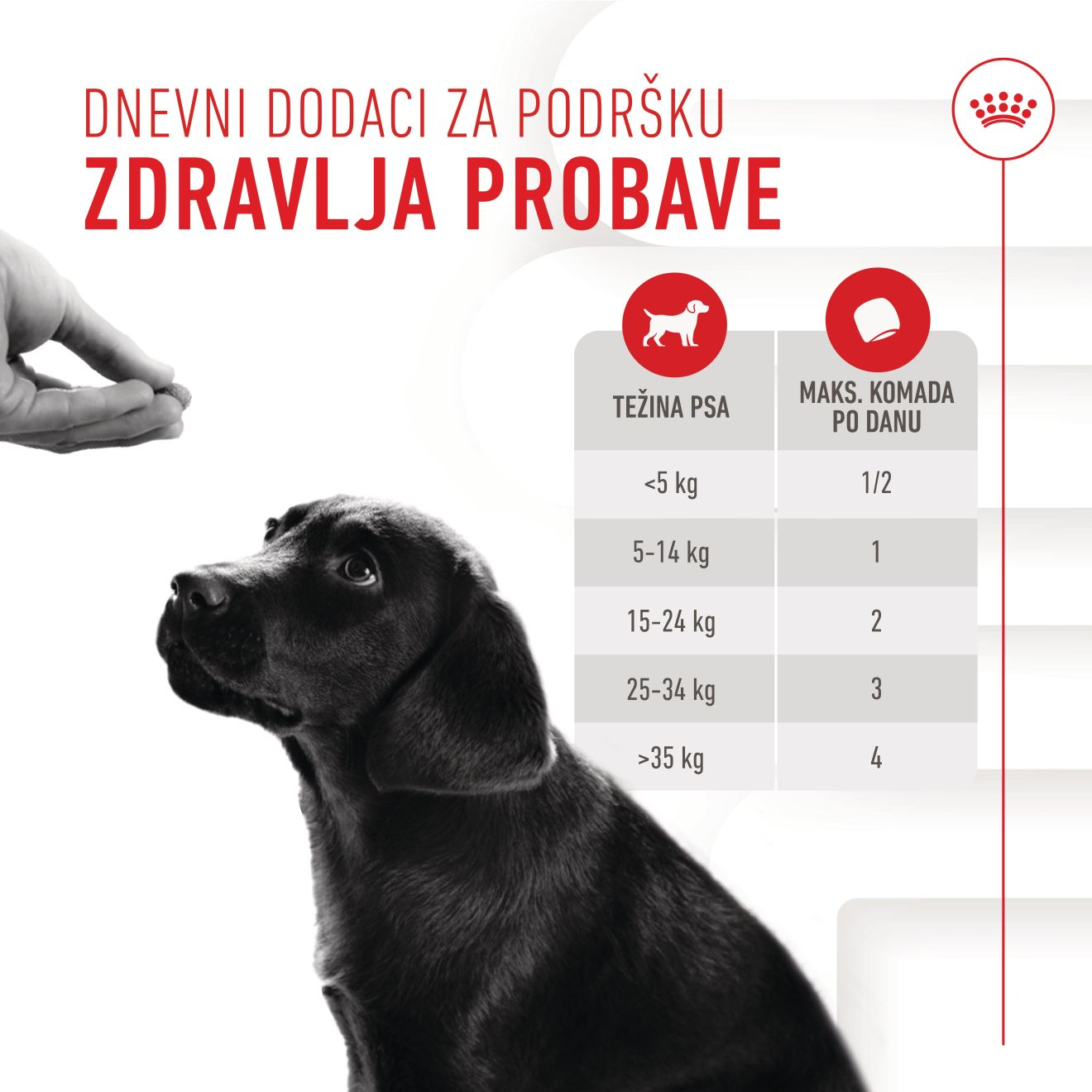 IMMUNITY & DIGESTION CHEWS