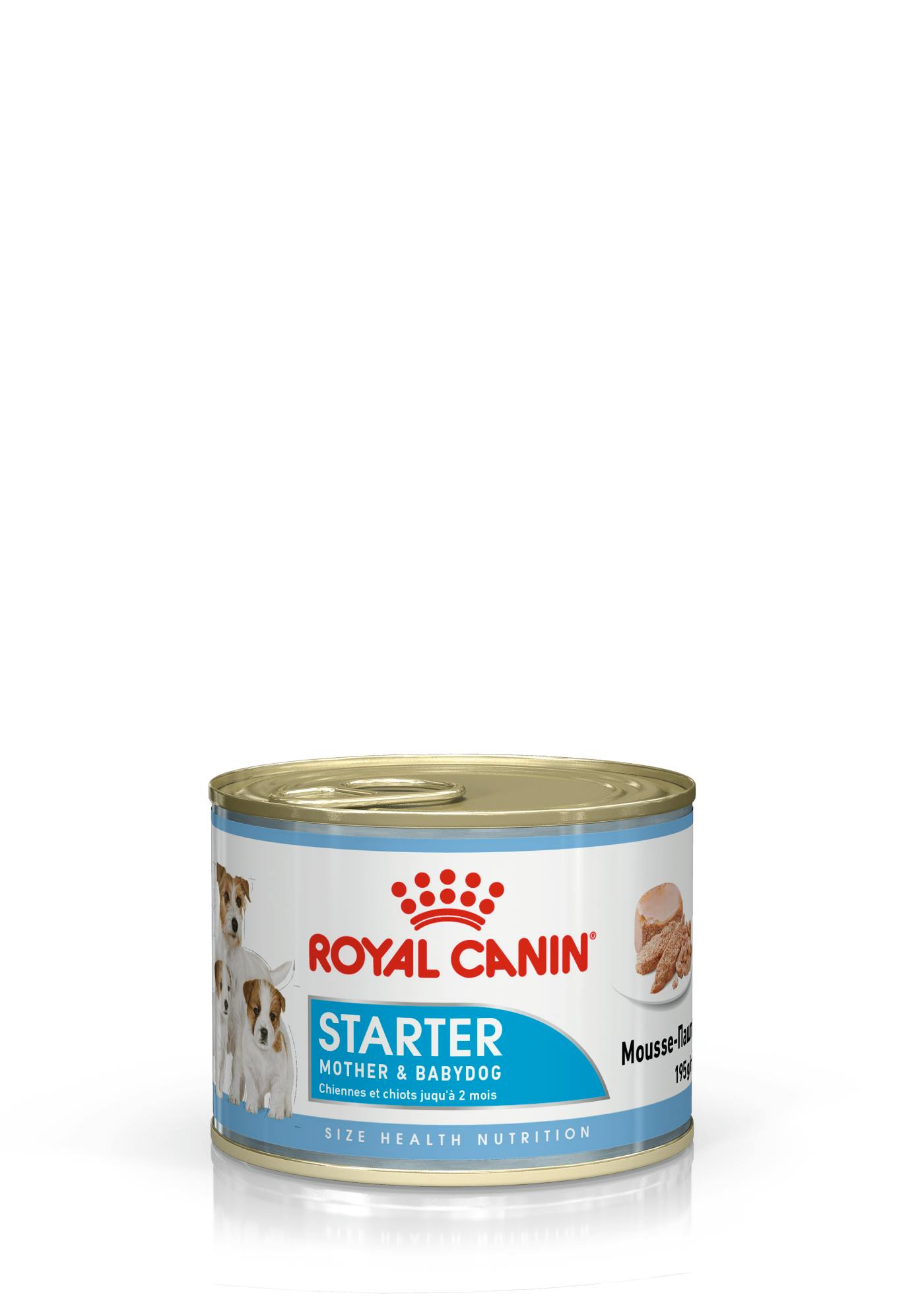 Royal canin clearance starter mousse walmart