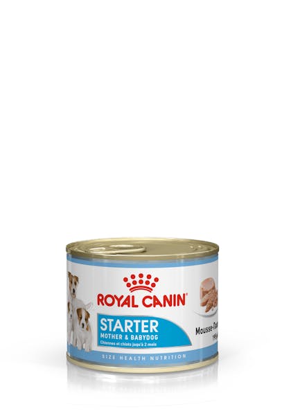 Starter Mousse Mother & Babydog wet | Royal Canin
