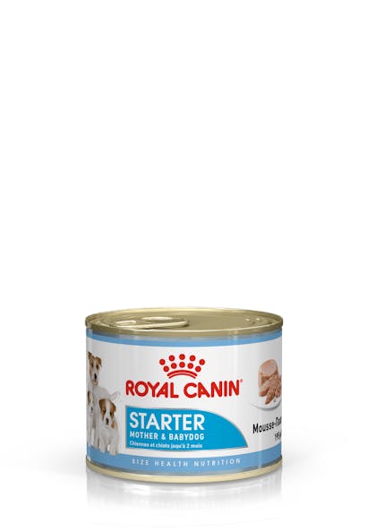 9003579311462 ROYAL CANIN Starter Mousse Mother & Babydog - can