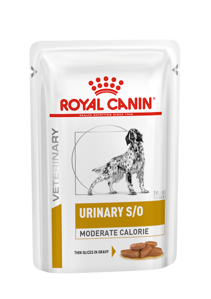 VHN-URINARY-URINARY S/O MODERATE CALORIE DOG SIG POUCH-POUCH PACKSHOT