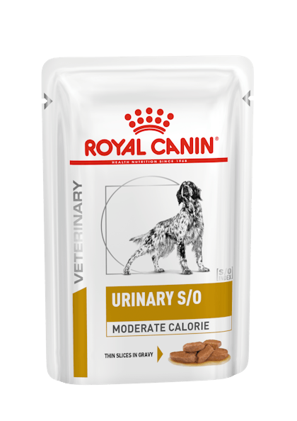 VHN-URINARY-URINARY S/O MODERATE CALORIE DOG SIG POUCH-POUCH PACKSHOT